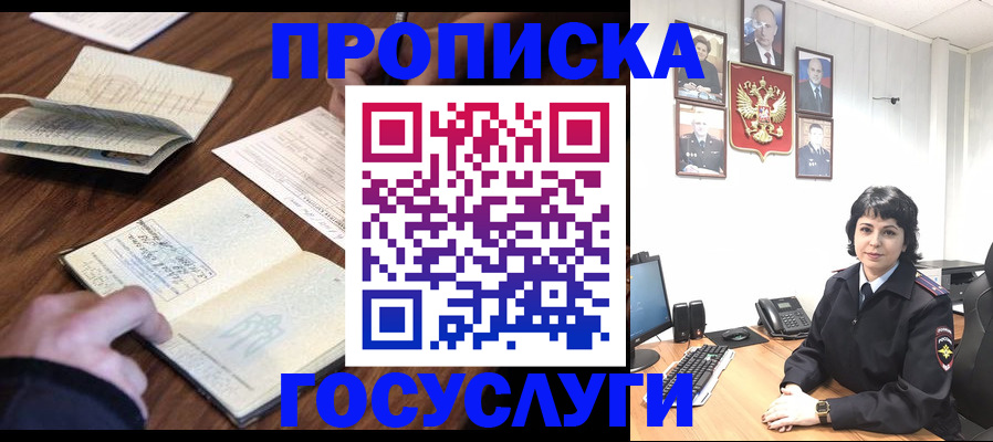 временная регистрация поиск в Новозыбкове